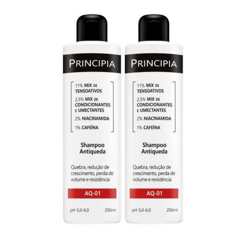 Shampoo Antiqueda Principia AQ-01 250ml