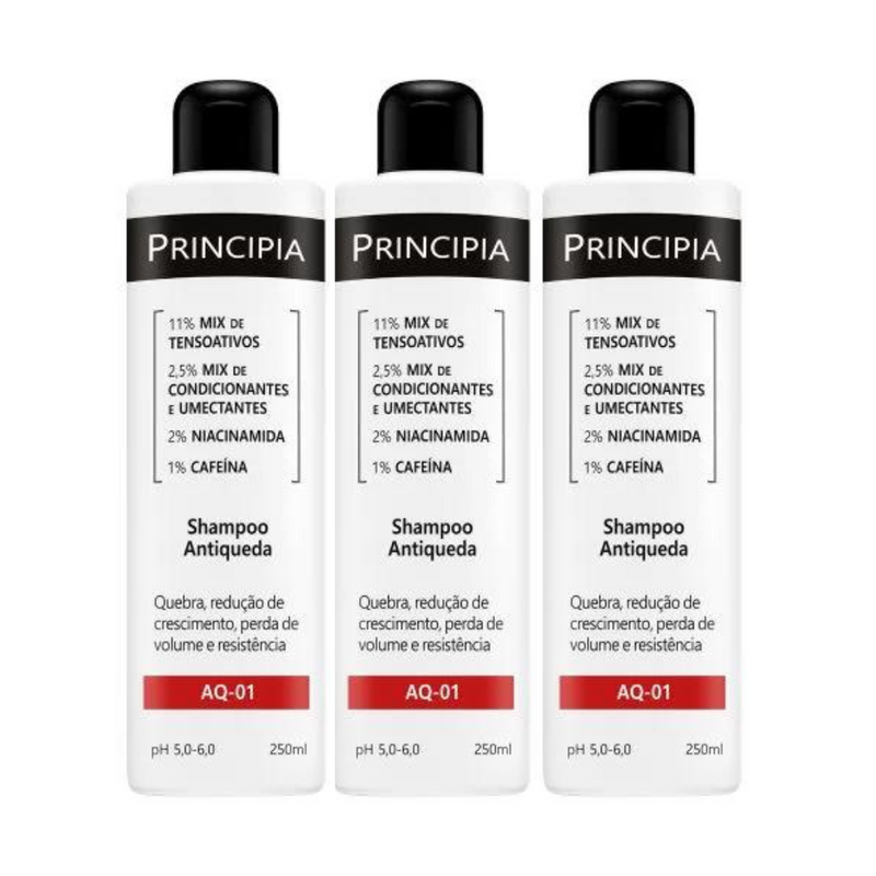 Shampoo Antiqueda Principia AQ-01 250ml