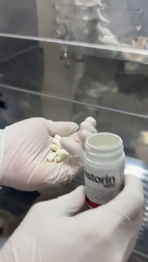 Kit 10 Testorin1000 Com 60 Cápsulas Revestida